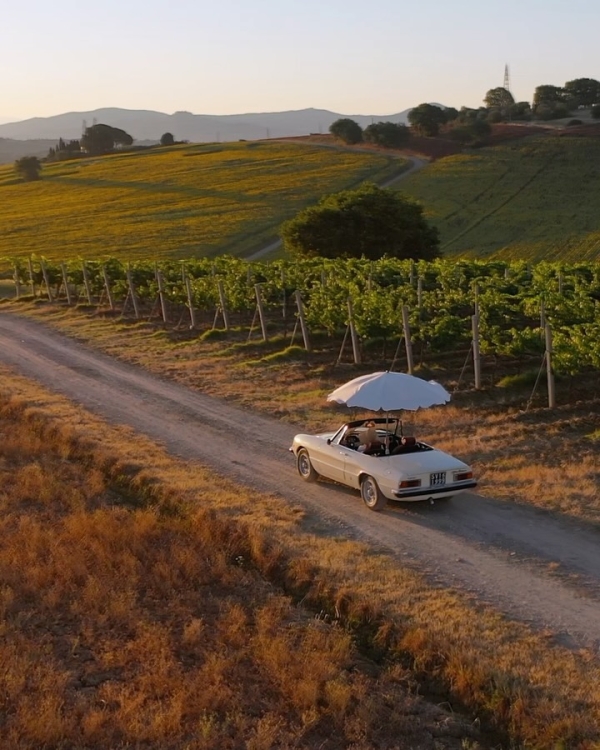10 Dreamy Vineyard Wedding Venues in Italy for an Unforgettable Celebration