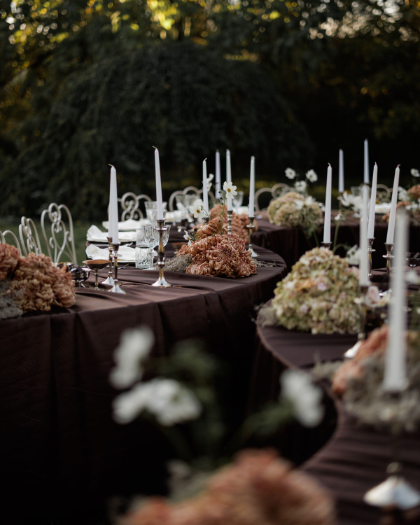 Of Roots and Feathers