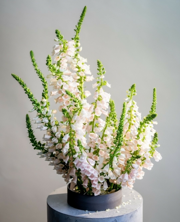 «There’s Never a Set Formula at Blooming