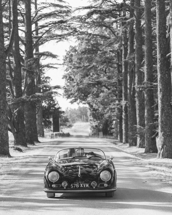 Elegant Wedding in Provence