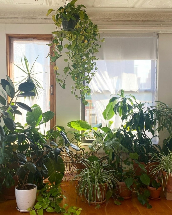 Yoga Studios in New York to Relieve Pre-Wedding Stress