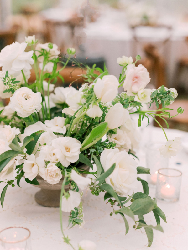 Planners Wild Sky Events