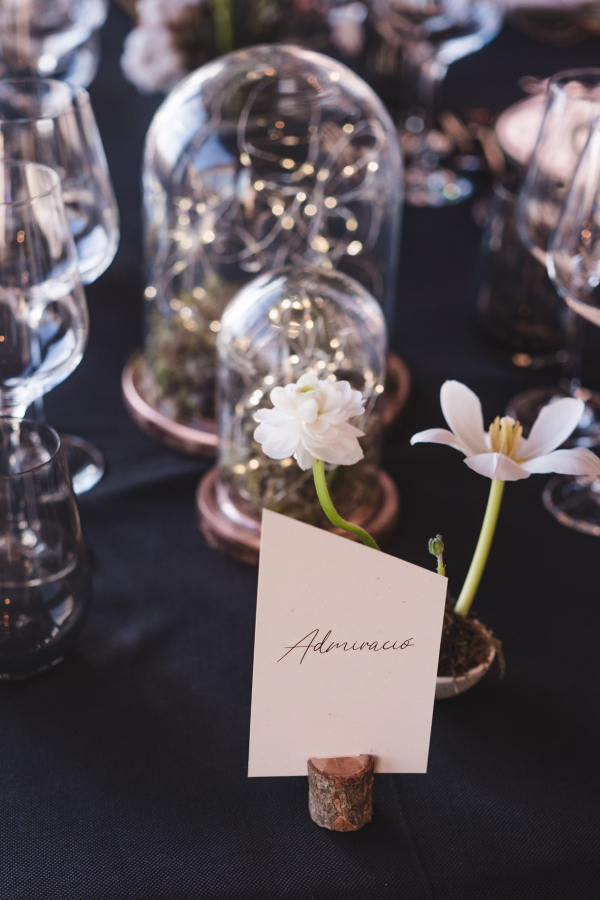 Planners Stress & Success