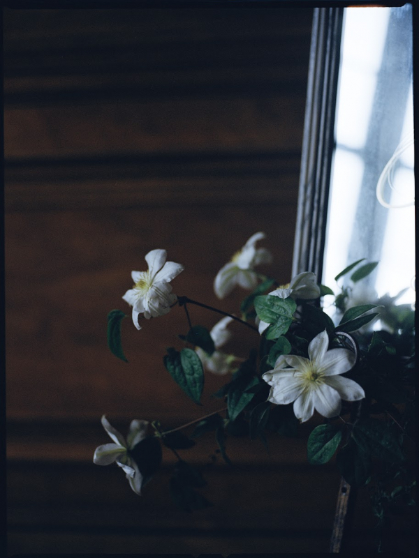 Photographers Lola Rong