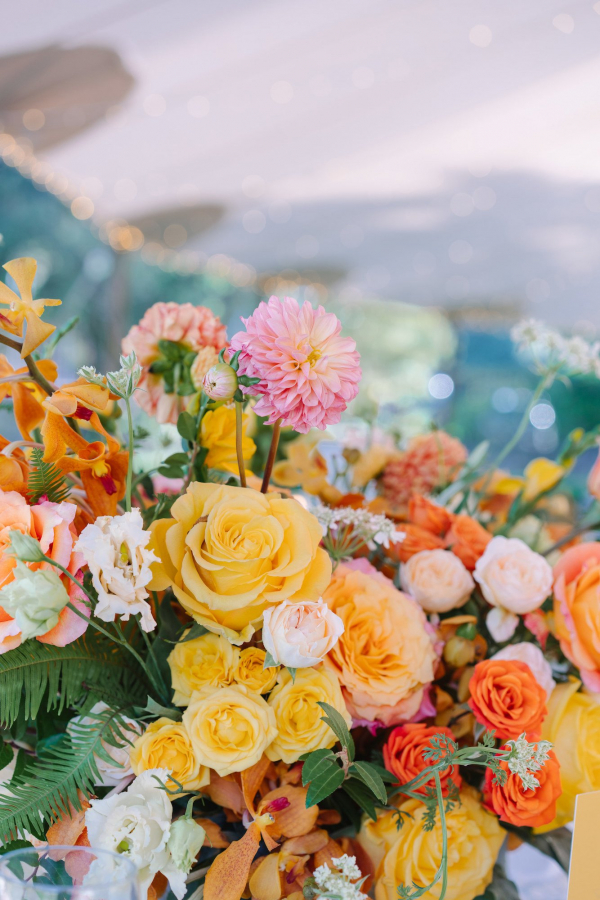 Planners Wild Sky Events