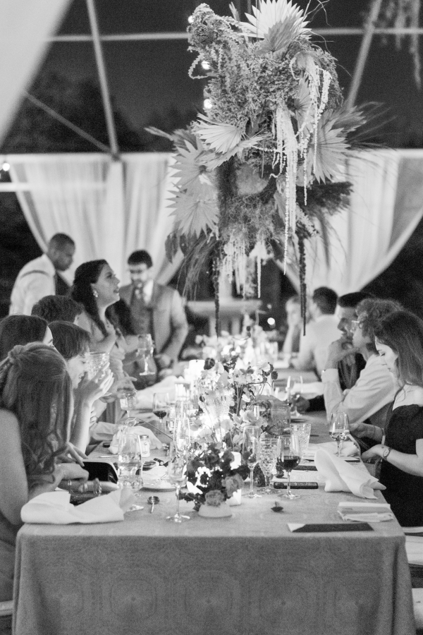 Planners Wild Sky Events