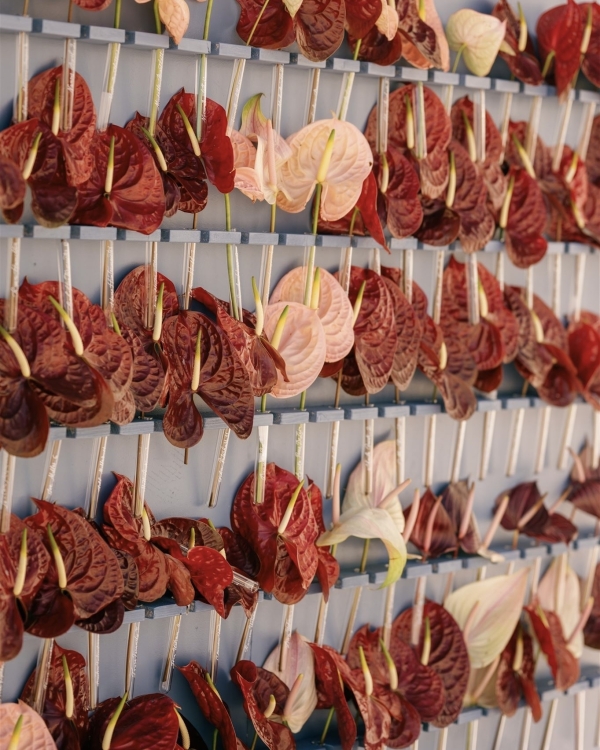 Ethereal Beach Wedding in Florida | Real Wedding: Katie & Alex