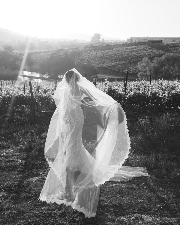 Vineyard Wedding in California | Real Wedding: Michelle & Max