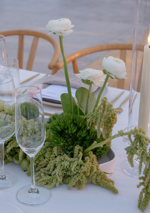 Photographers Fiona Tang