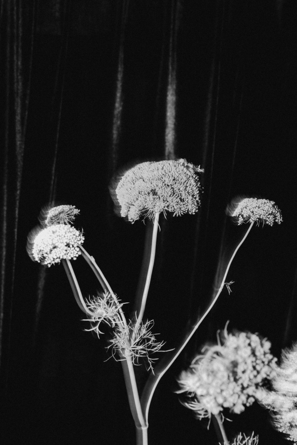 Photographers Catalina Juger Studio