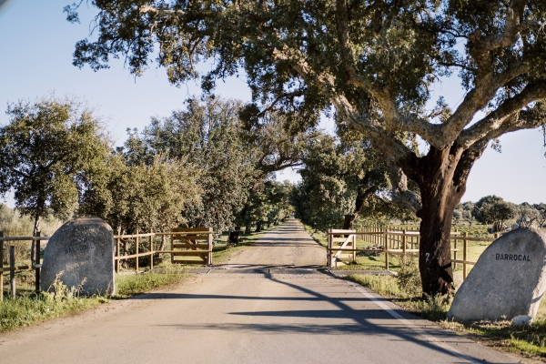 Venues São Lourenço do Barrocal