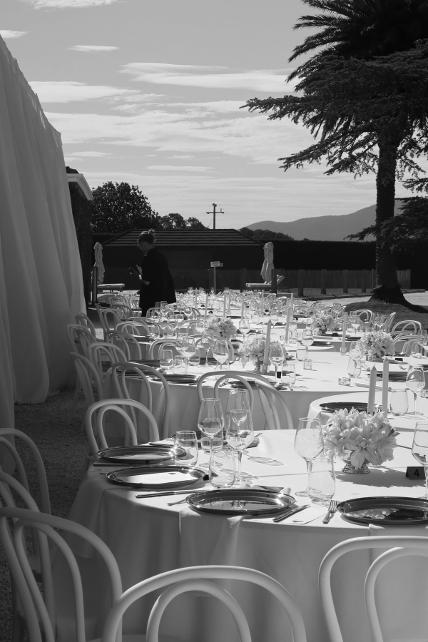 Content Creators Sarah Davoli Studio