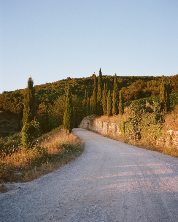A Danielle Frankel Bride’s Tuscan Wedding in a Medieval Castle