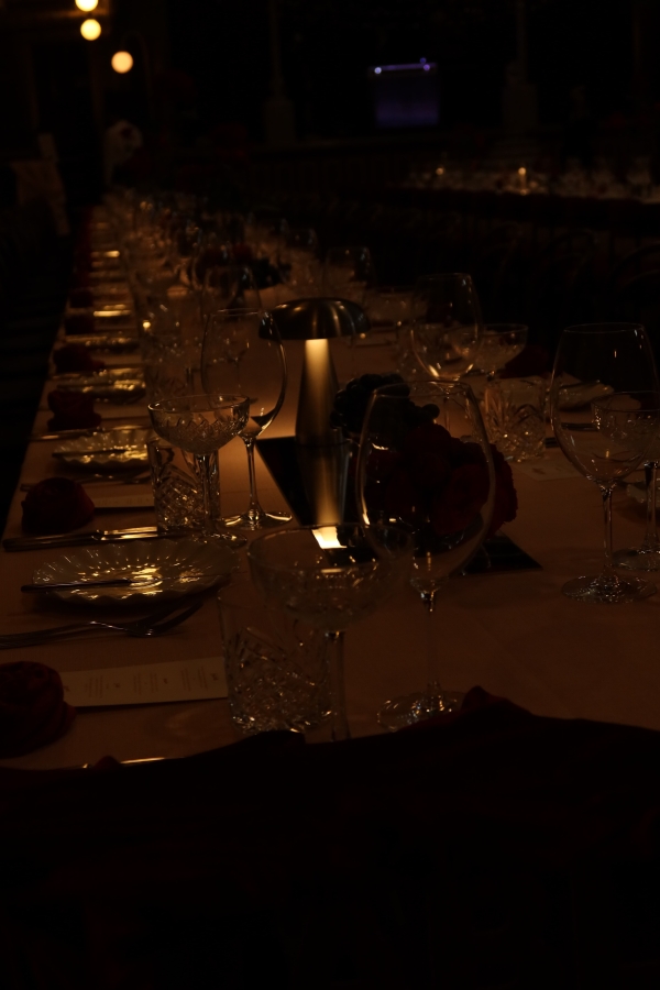 Content Creators Sarah Davoli Studio