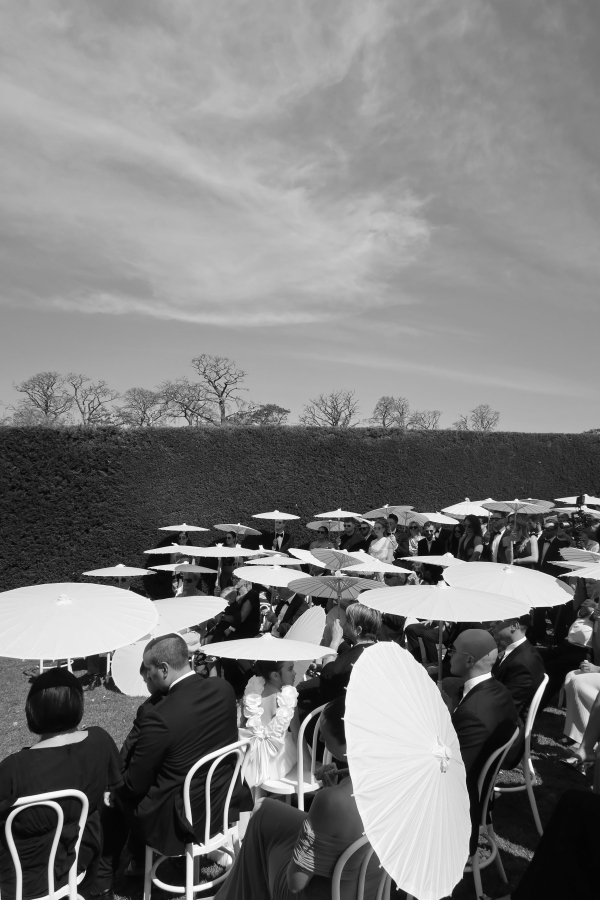 Content Creators Sarah Davoli Studio