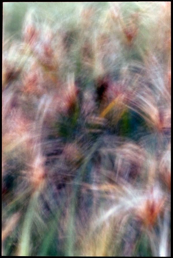 Photographers Catalina Juger Studio