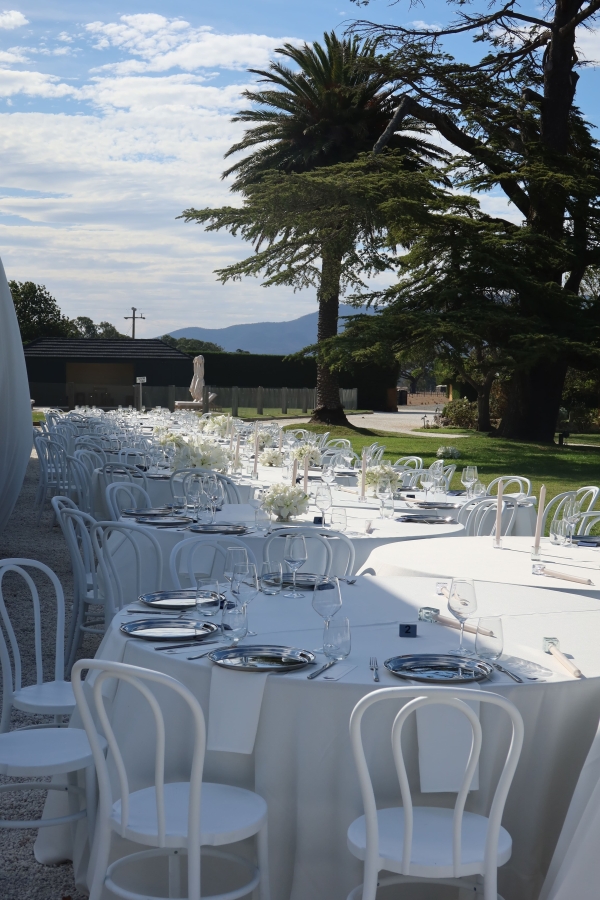 Content Creators Sarah Davoli Studio