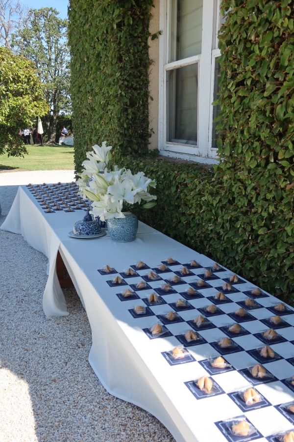 Content Creators Sarah Davoli Studio