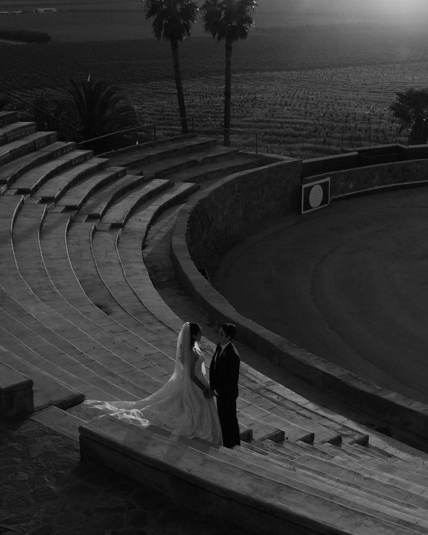 55 Must-Have Wedding Photos that Tell Your Love Story Perfectly