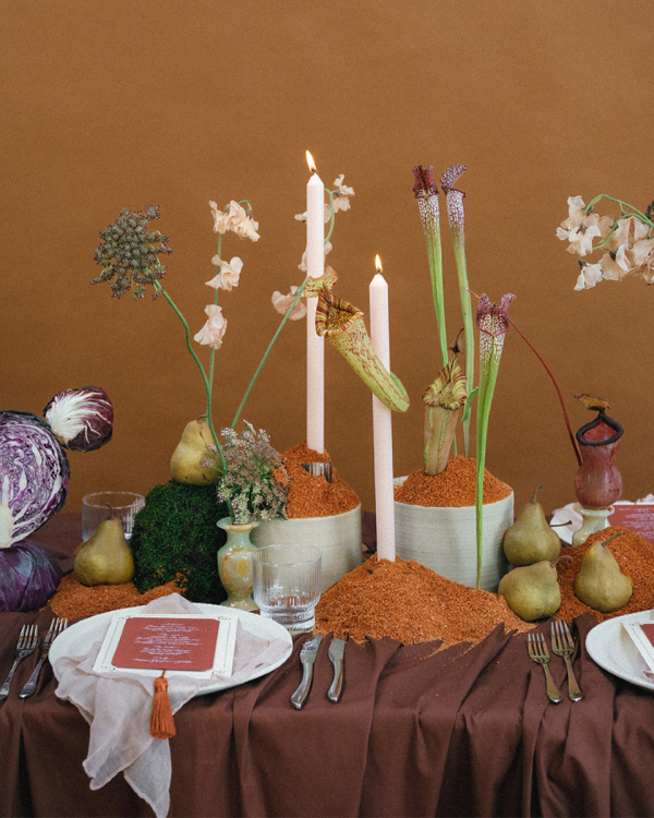 55 Must-Have Wedding Photos that Tell Your Love Story Perfectly