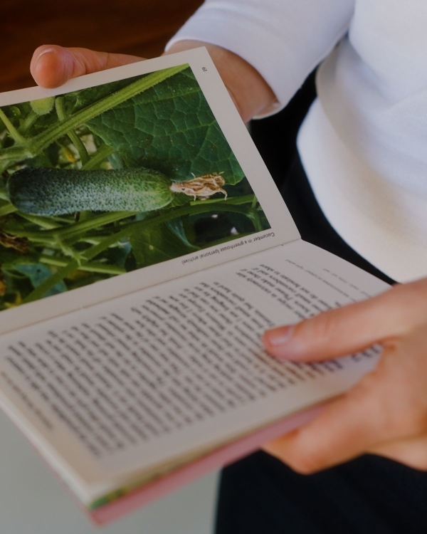 In Conversation: Monika Varšavskaja