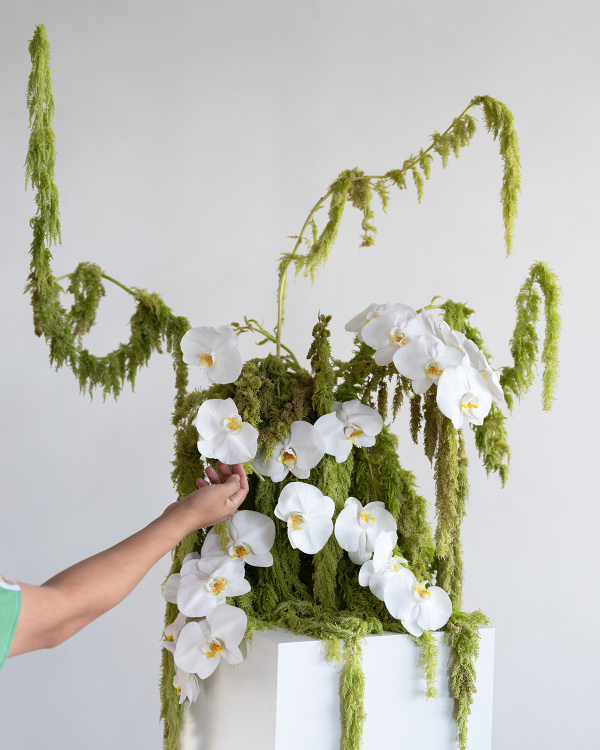 Behind the Scenes: The Flowerslinger