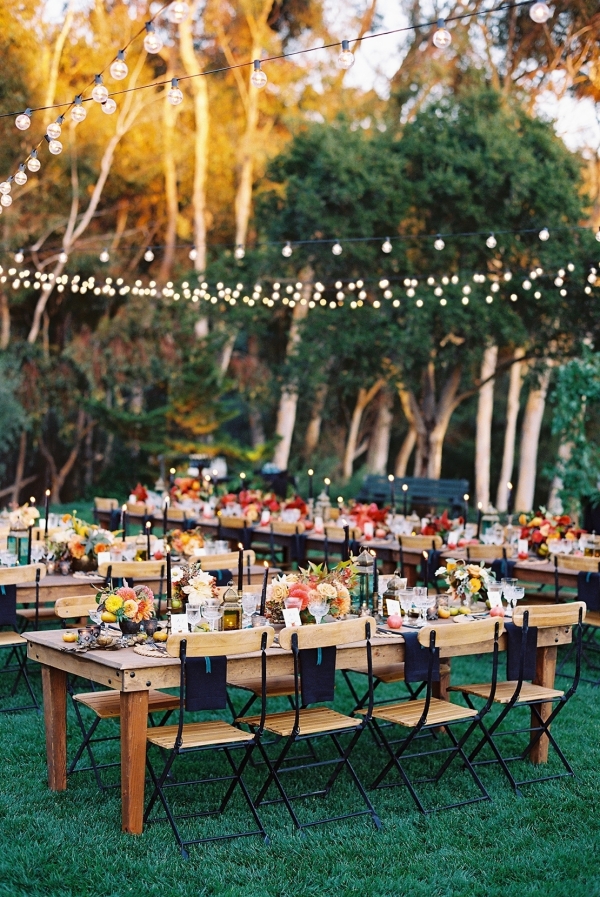 Photographers Tec Petaja