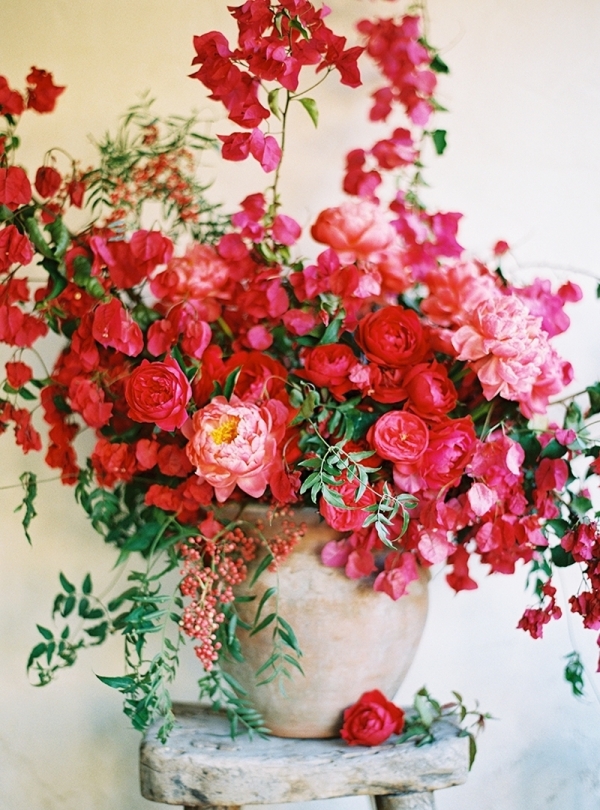 Photographers Tec Petaja