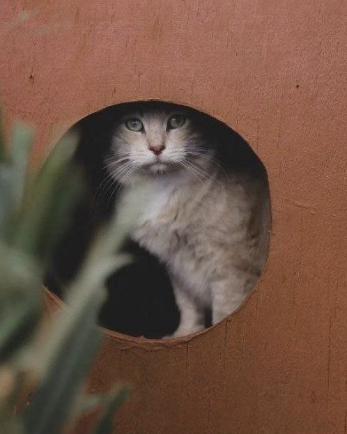 9 Must-Visit Places on Your Hawaiian Honeymoon