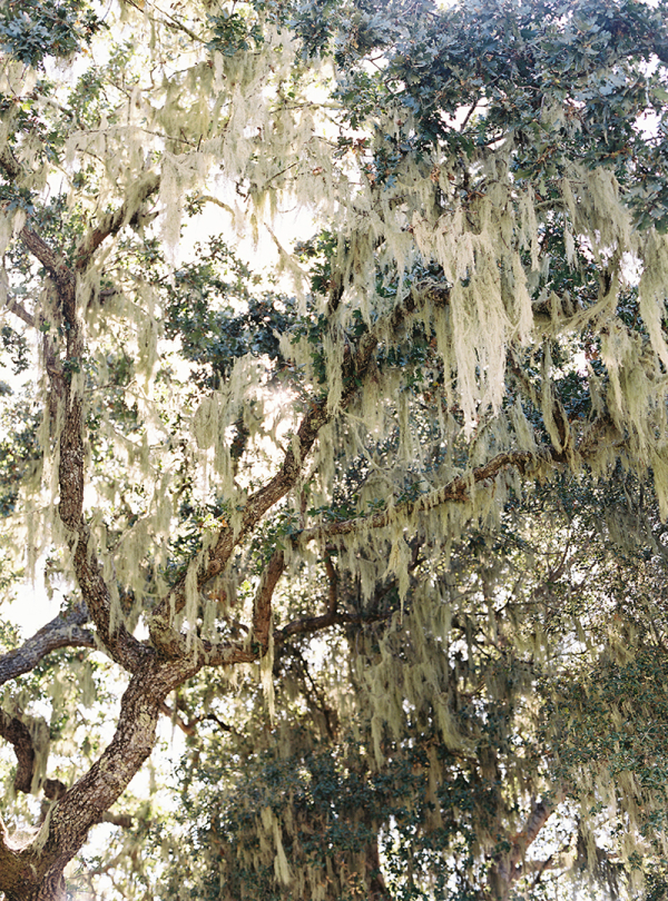 Photographers Tec Petaja