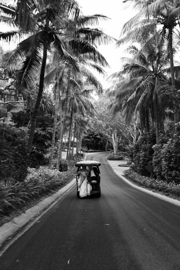 Destination Wedding on Hamilton Island