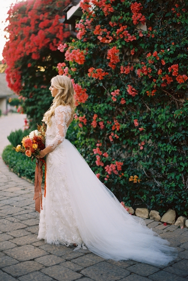 Photographers Tec Petaja