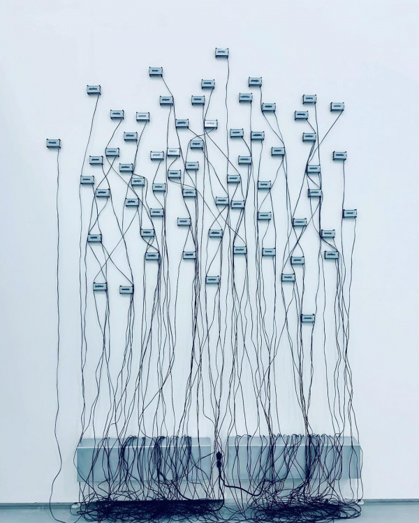 5 Art Exhibitions to Visit in Sydney