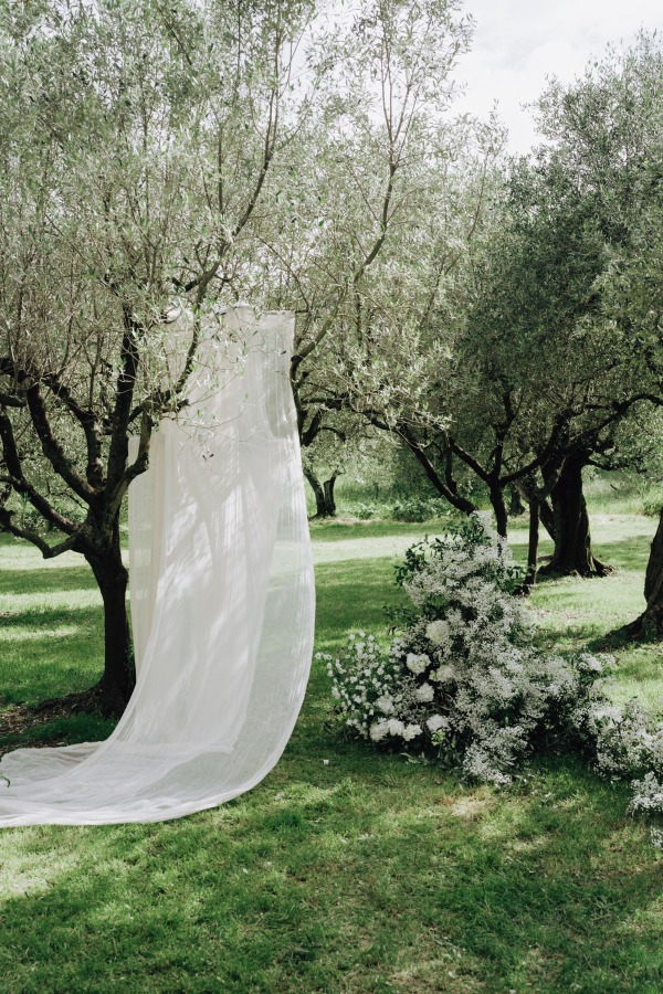 Meet Me at the Olive Grove