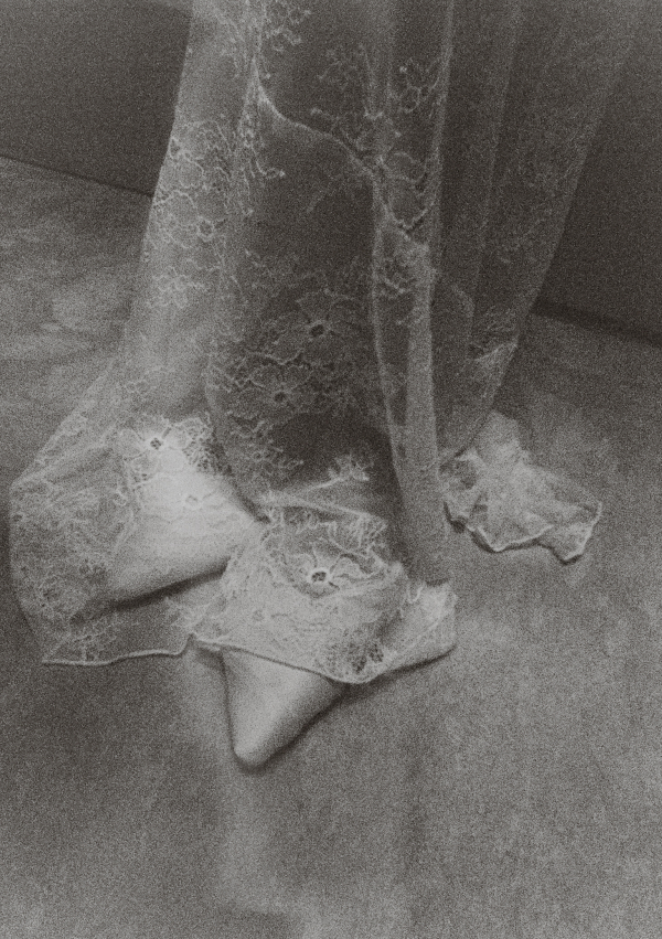 Meet Me at the Olive Grove