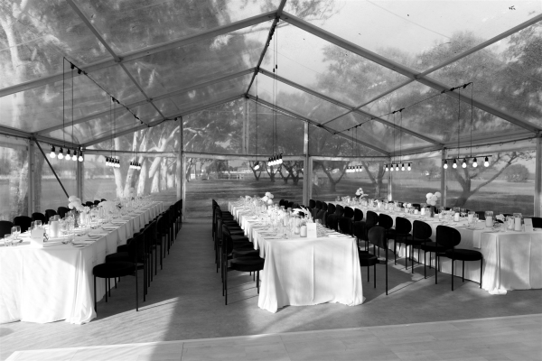 Planners Blonde and Blue