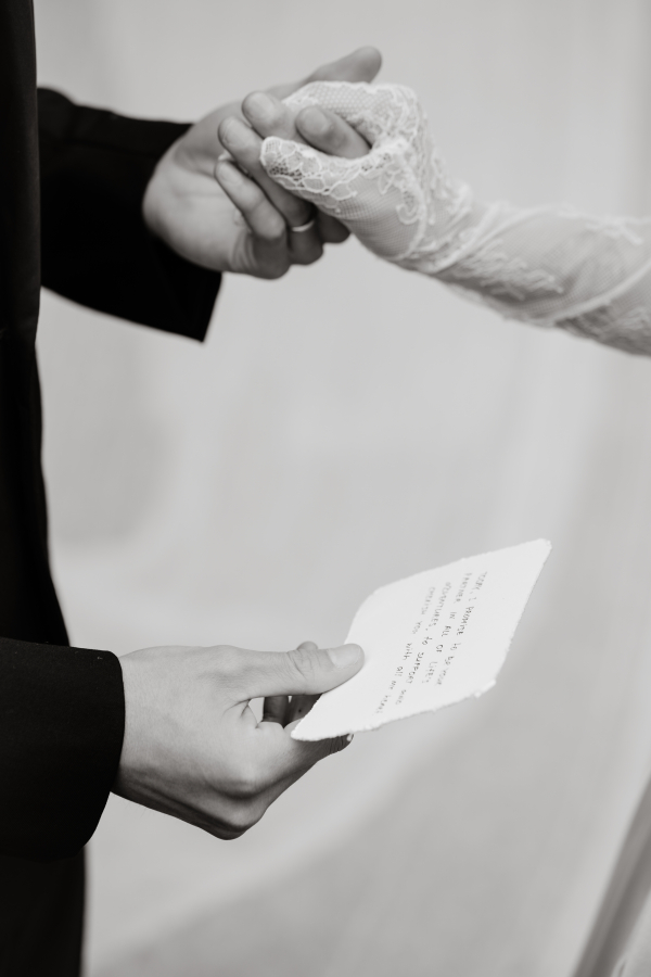 Meet Me at the Olive Grove