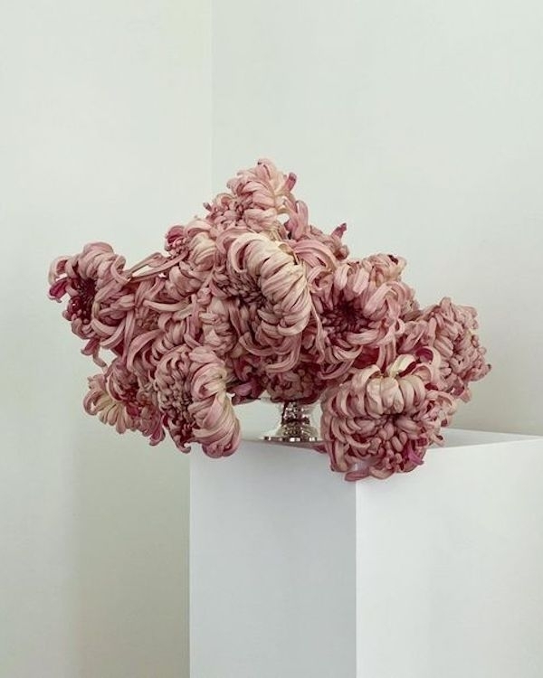 Blush Pink Bridal Shower