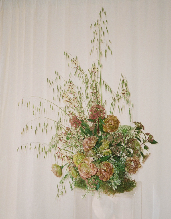 Photographers Sincerely Sini