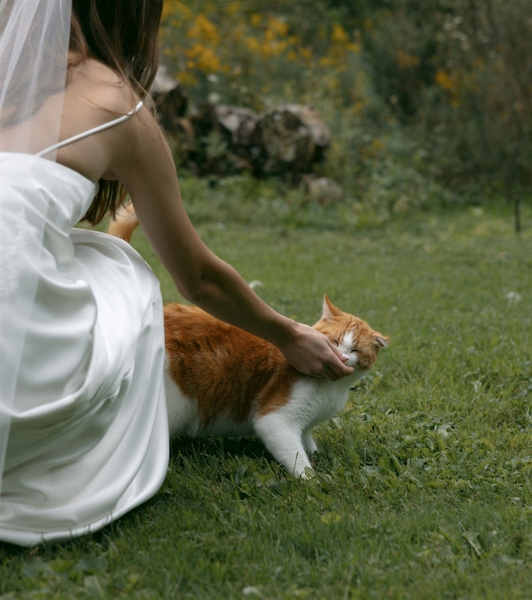 Photographers Tess Gearhart