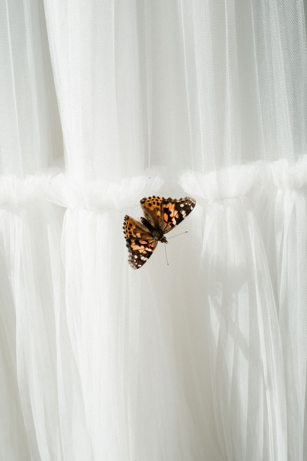 Photographers Helaine