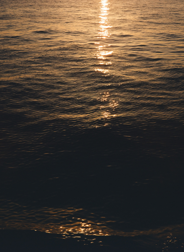 Photographers Helaine