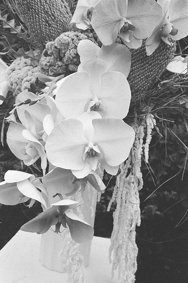 Photographers Kaley from Kansas