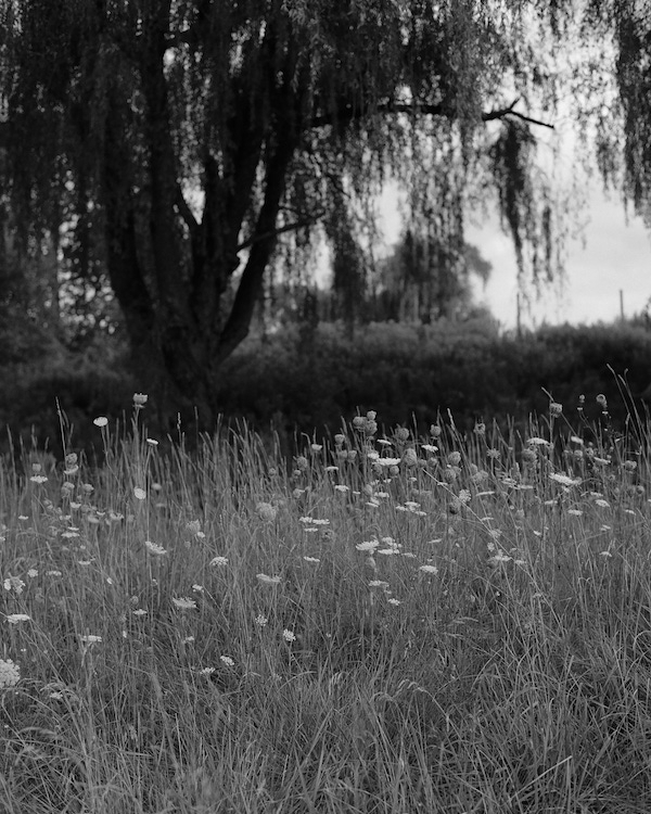 Beautiful Flower Themed Wedding in Accord, New York | Bride in Danielle Frankel Dress