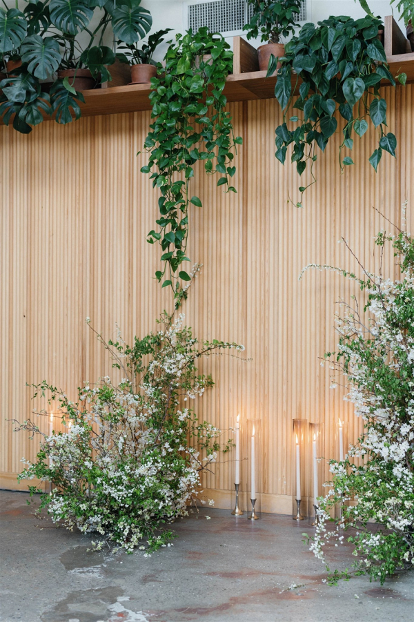 Photographers Sincerely Sini