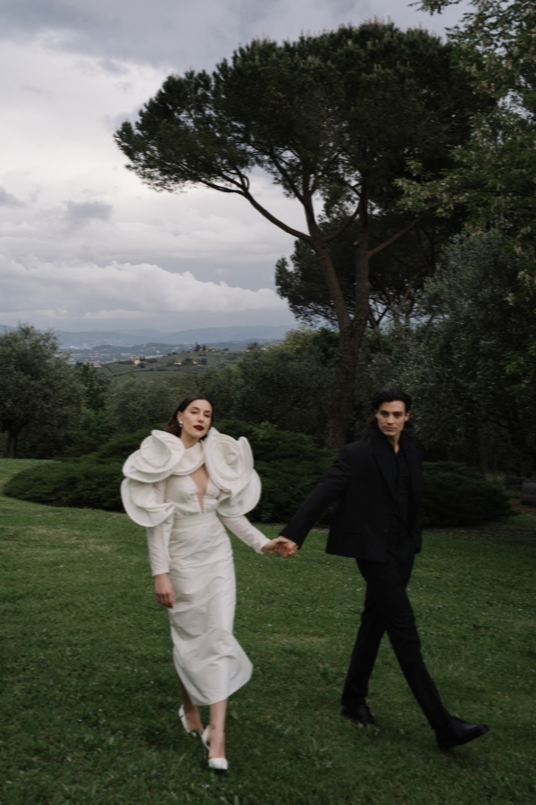 Meet Me at the Olive Grove