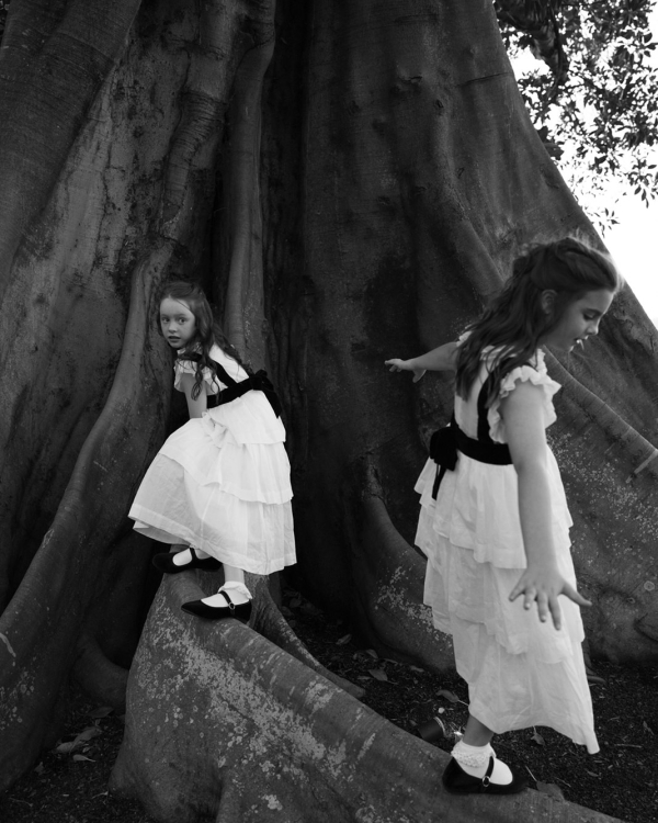 Beautiful and Romantic Wedding in Hunter Valley