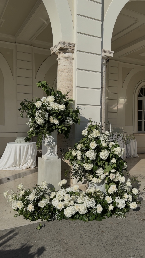 Content Creators WED SOCIAL