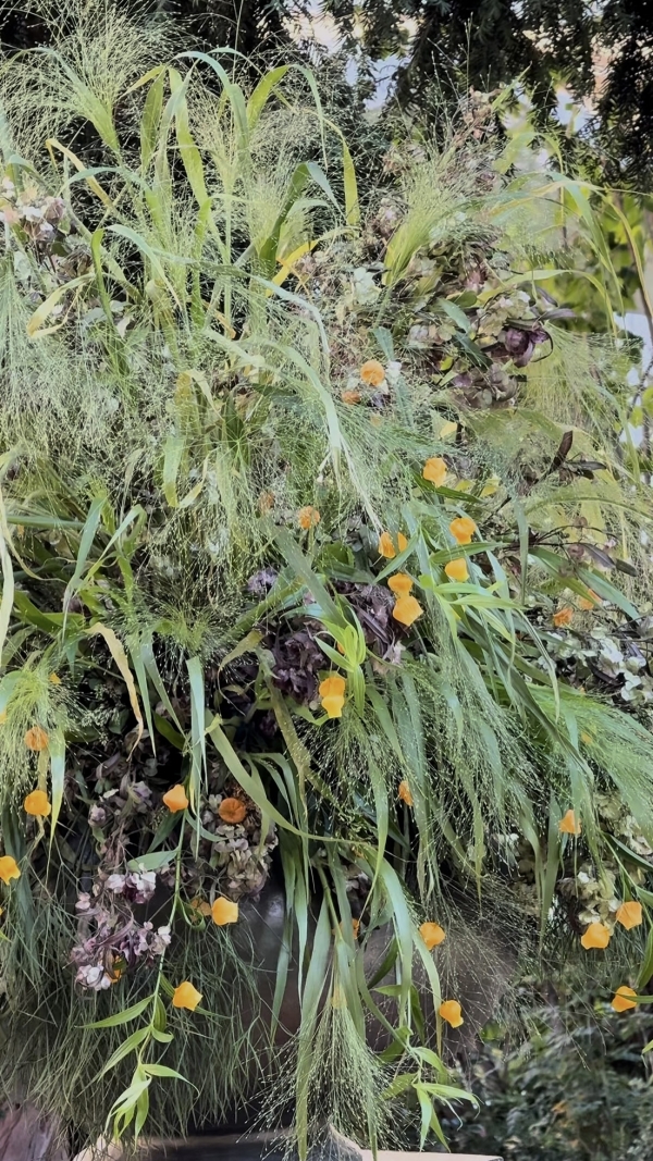 Content Creators WED SOCIAL