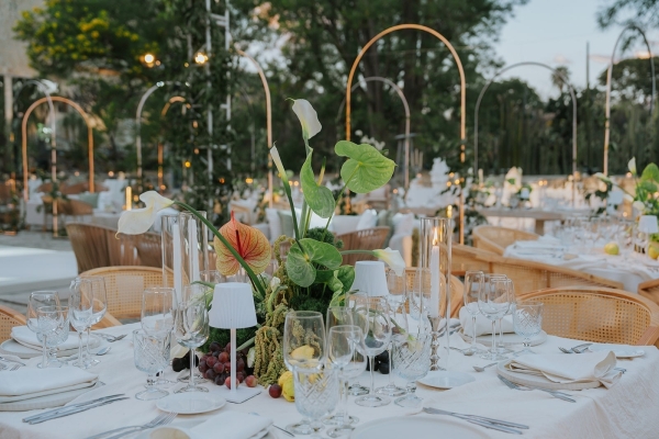 Planners Lupita Tirado